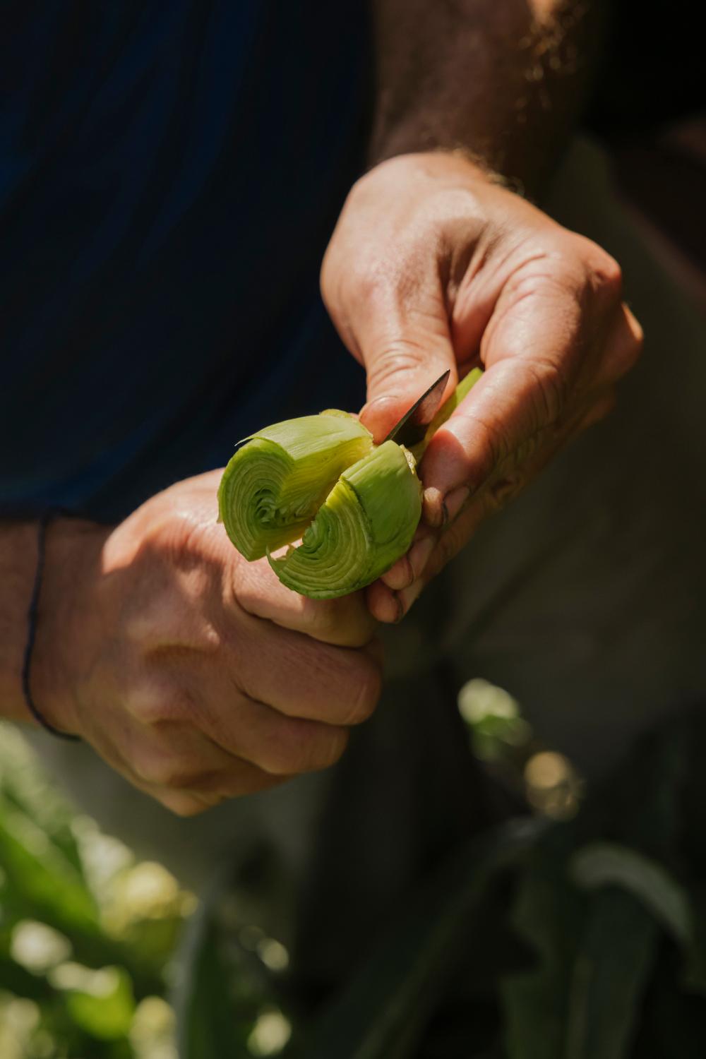 ¿Sabrías encontrar la perfección dentro de una alcachofa?